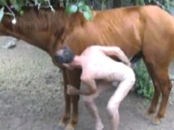 Gay dando a bunda para o cavalo