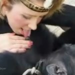Macaco fazendo sexo com uma mulher