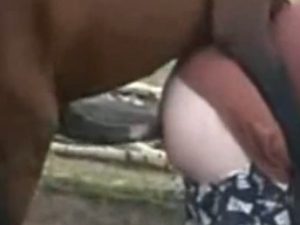 Cavalo arrombando o cu de um gay que quis dar para ele