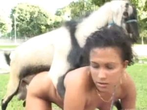 Mulheres fazendo sexo com cavalos e bodes